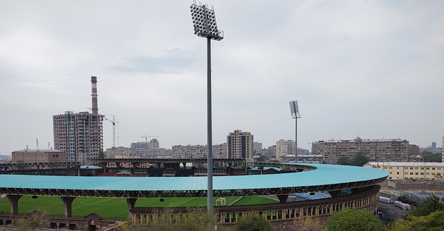 术上的各有 术上的各有