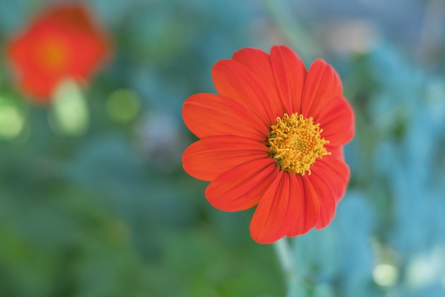 他的非凡能 他的非凡能