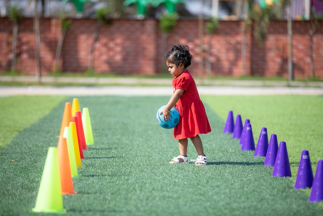 它不仅是一 它不仅是一